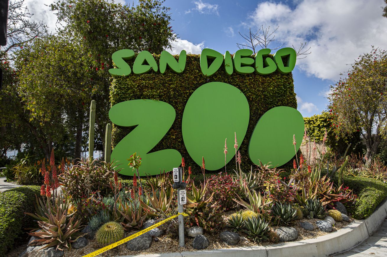 A photo outside the San Diego Zoo on a sunny day. The sign for the zoo has its name in big green letters. 