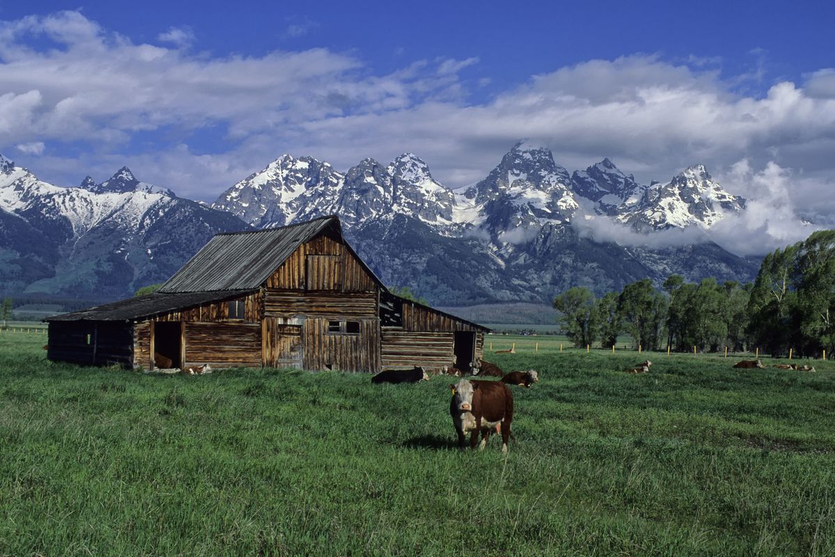 USA, Wyoming, Grand Teton National Park, Teton Range, Old...