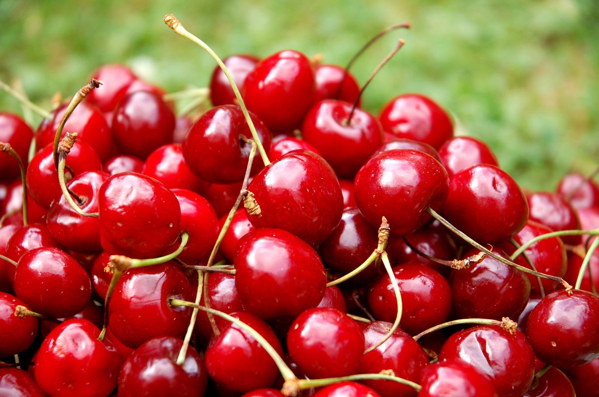 A good source of polyphenols, powerful plant compounds which include anthocyanins, cherries have antioxidant and anti-inflammatory properties. | stock.adobe.com