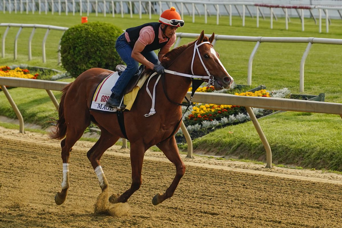 Preakness Stakes contender Mage trains Wednesday morning at Pimlico Race Track.&nbsp;