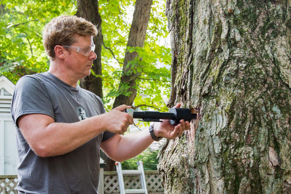 Man Screws In Hardware Of Tree Fort