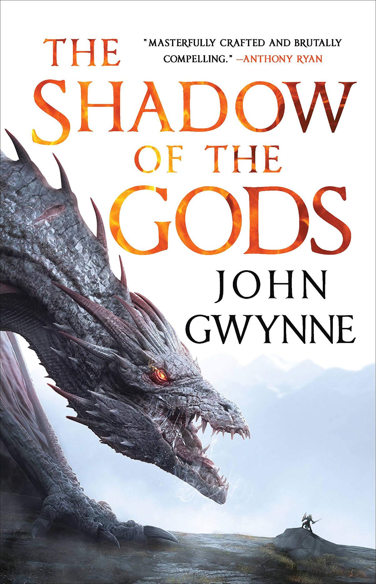 The cover for “The Shadow of the Gods” by John Gwynne which shows a large dragon and a small knight