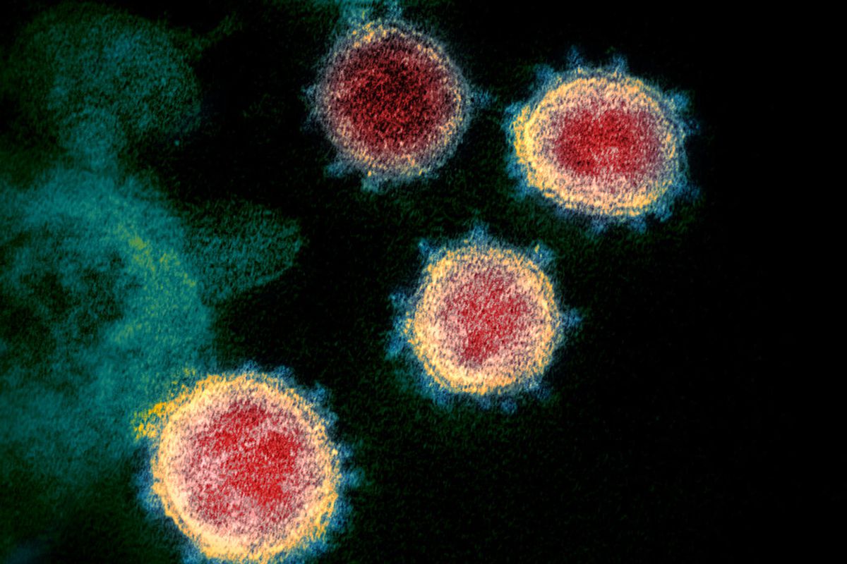 Photo of the coronavirus.