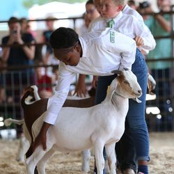 Rehema Nyandagaro, of the East African 4-H group, works with her goat Quvo at the Salt Lake County Fair in South Jordan on Friday, Aug. 4, 2017.