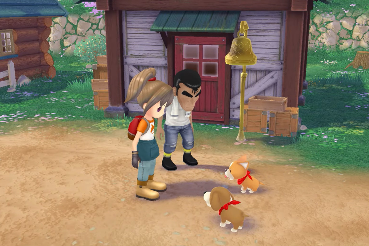 Two Story of Seasons: A Wonderful Life characters looking down at two cute corgis.