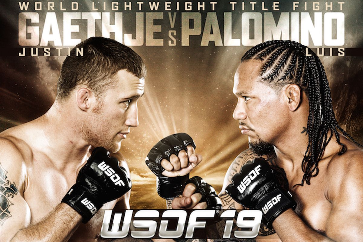 The 'Gaethje vs. Palomino' card expands!