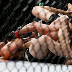 UFC 195 fight photos