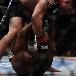 UFC 130 Photos