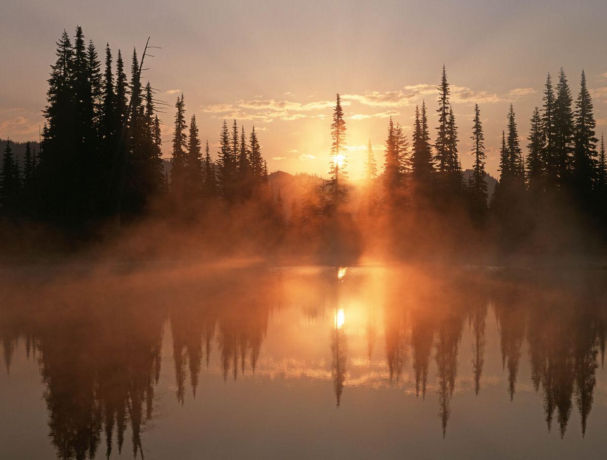 Dawn in temperate rainforest. Reflection Lake Mount Rainier National Park Washington USA.