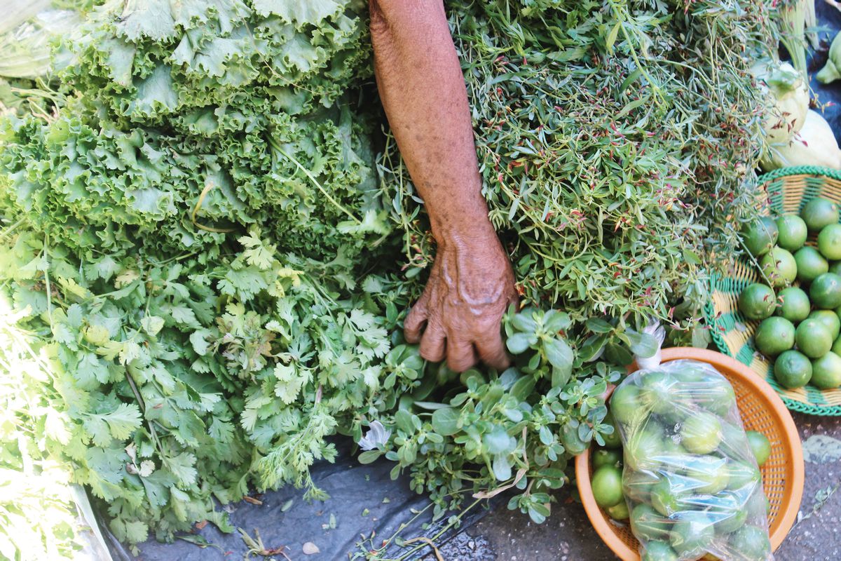 A hand reaches into a pile of mixed green herbs. 