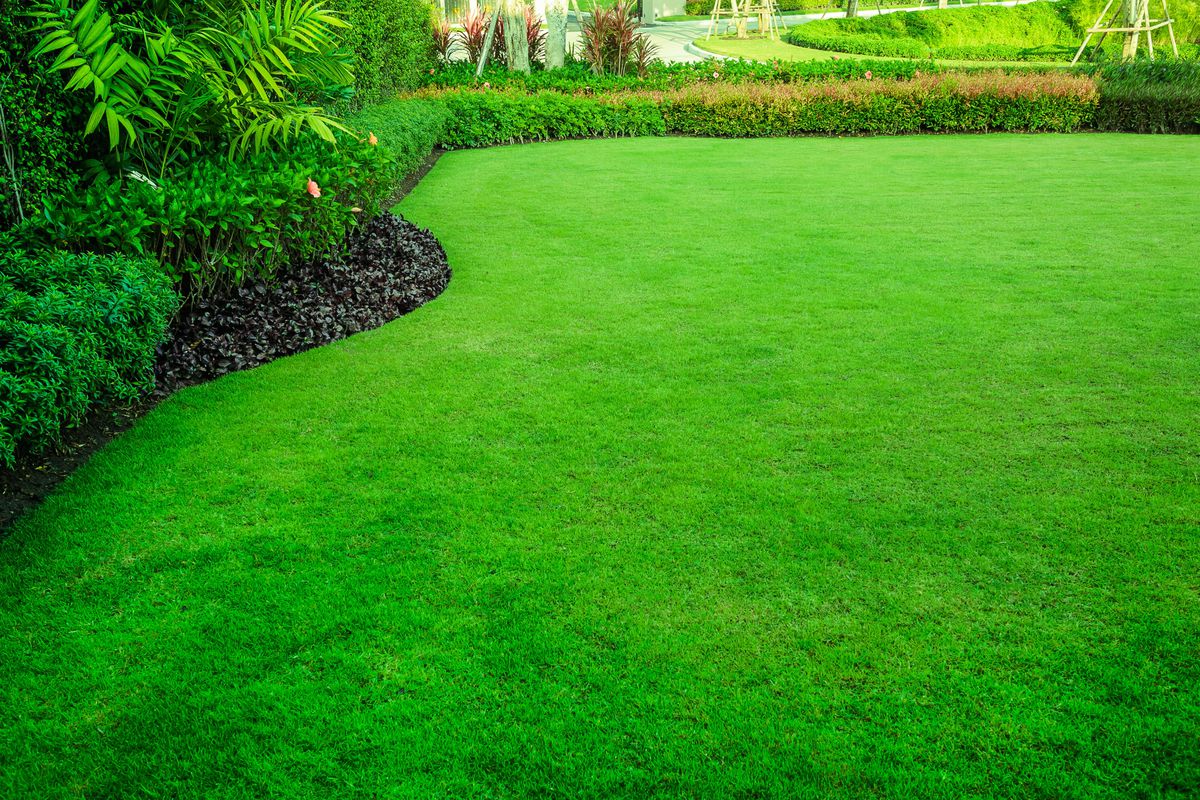 Best Lawn Care Services in Houston, TX (2022) - This Old House