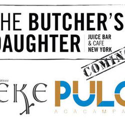 <a href="http://ny.eater.com/archives/2012/11/is_new_york_ready_for_the_butchers_daughter.php">Coming Attractions: The Butcher's Daughter</a>