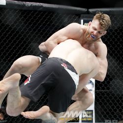 UFC 206 photos