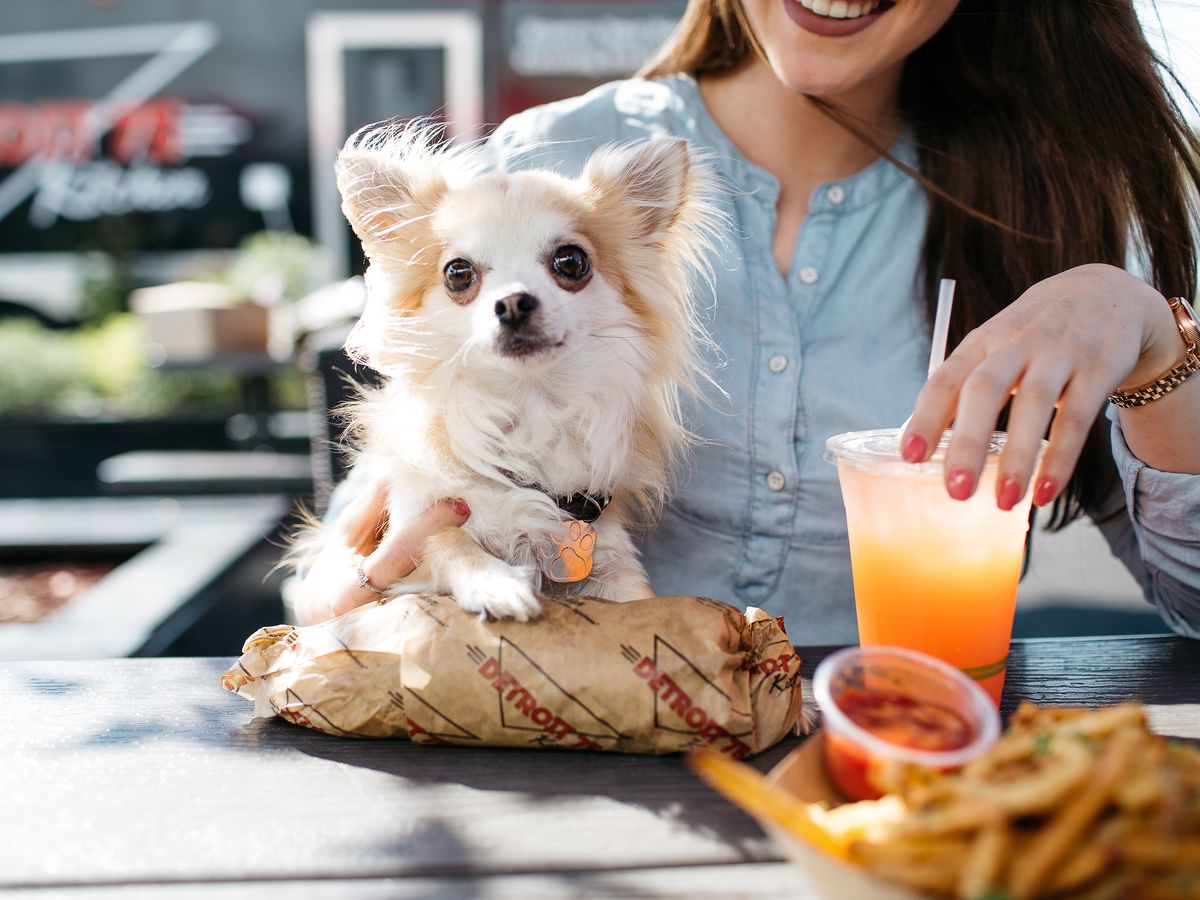 A seated woman holds a small dog and a wrapped sandwich, fries, and a drink sit on the outdoor table in front of her.