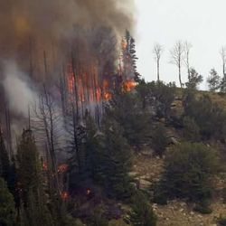 Flames of the Seeley fire burn the trees Wednesday, June 27, 2012 about 16 miles west of Price Utah.