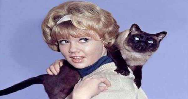 Hayley Mills and that darn cat from That Darn Cat.
