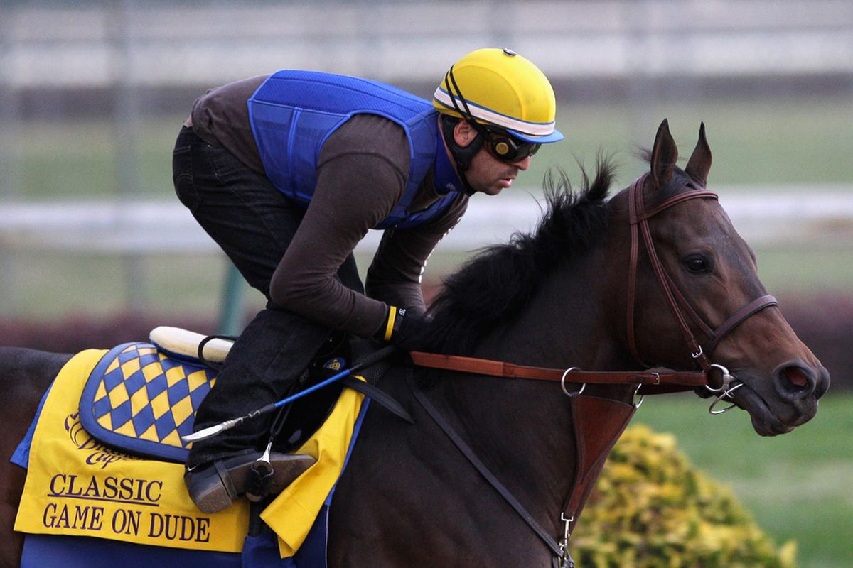 Game On Dude is expected to lead the contingent of North American based horses at this year's Dubai World Cup night on March 31st at Meydan Racecourse.