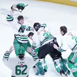 New Trier celebrates after winning the state hockey championship over Loyola, Friday 03-22-19. Worsom Robinson/For the Sun-Times