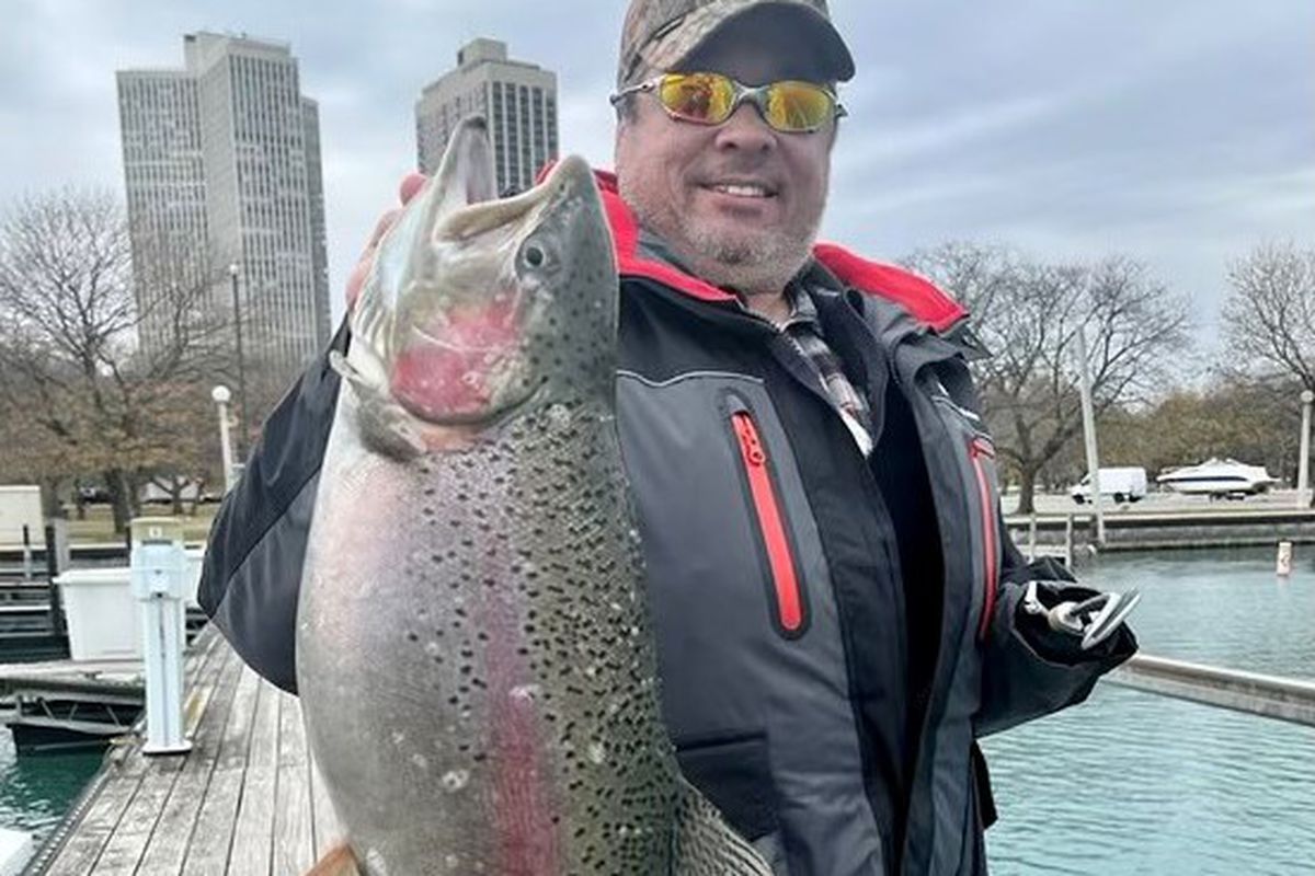 Ed Oquendo caught a beautiful rainbow trout Monday on the Chicago lakefront. Provided by Linda Oquendo