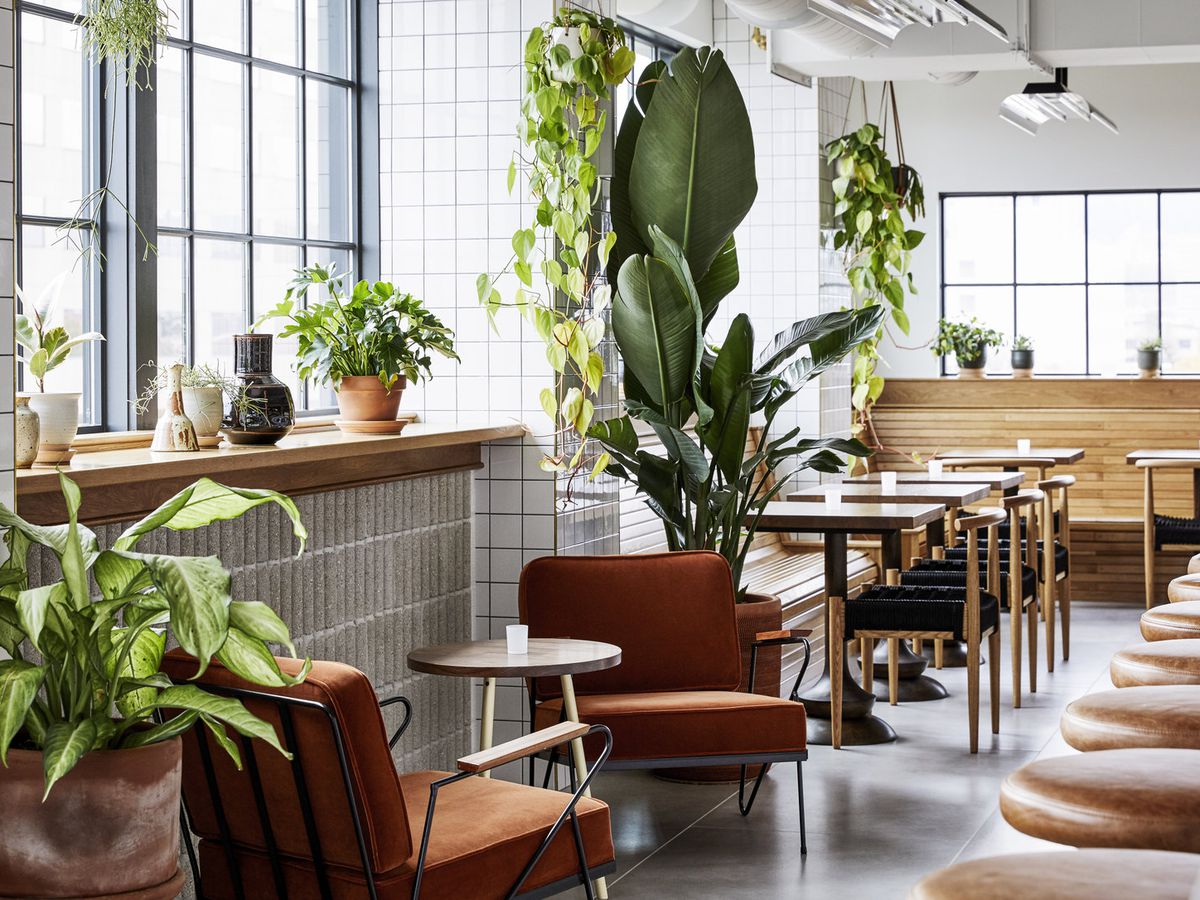 Mid-century chairs sit by the windows of the subway-tile-lined walls at Tope, surrounded by plants.