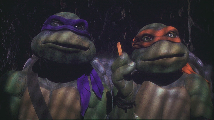 Donatello and Michelangelo in Teenage Mutant Ninja Turtles.