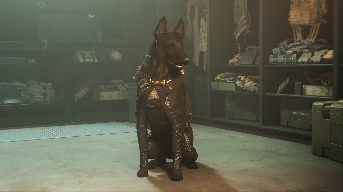 Merlin, the handsome tactical companion included in Call of Duty: Modern Warfare 2’s BlackCell season 5