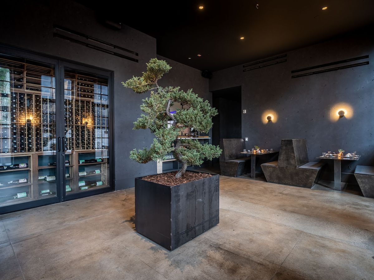 A tree grows inside of a tall metal square in a new restaurant dining room, painted black.