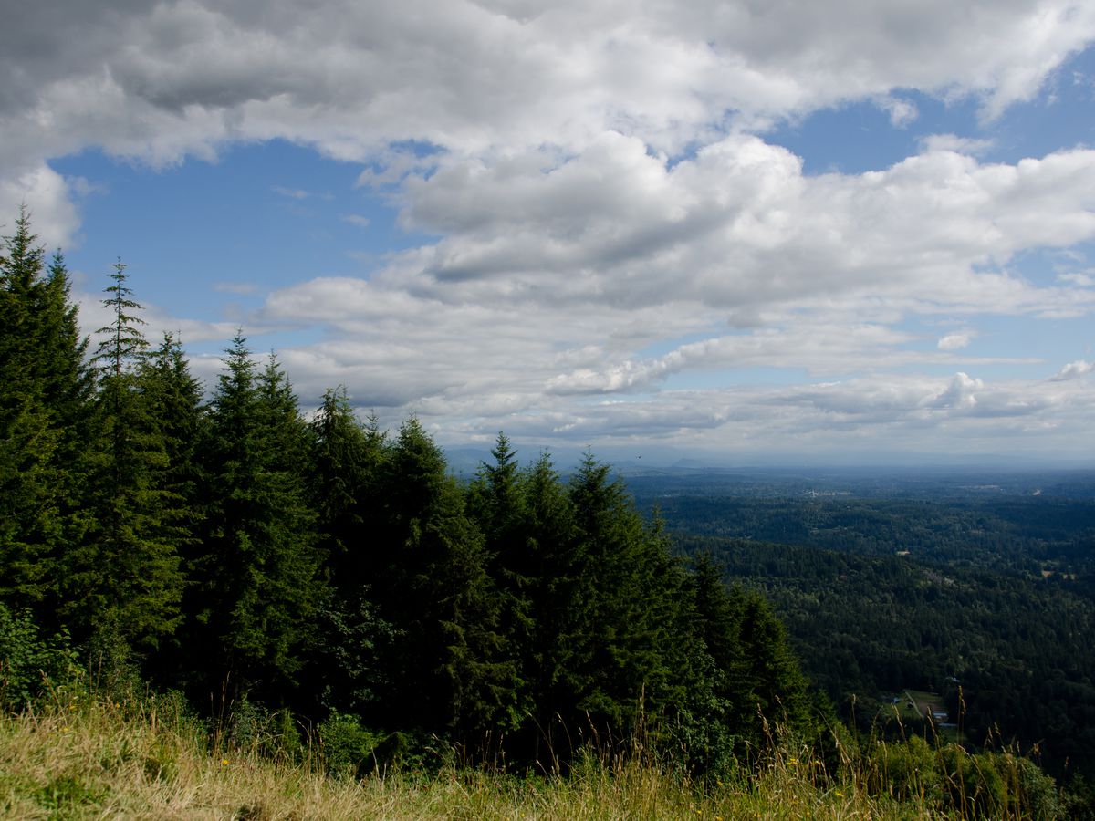 A view from a high elevation on a partly-cloudy day. The foreground is dense with evergreen trees, and there’s more greenery in the distance below.