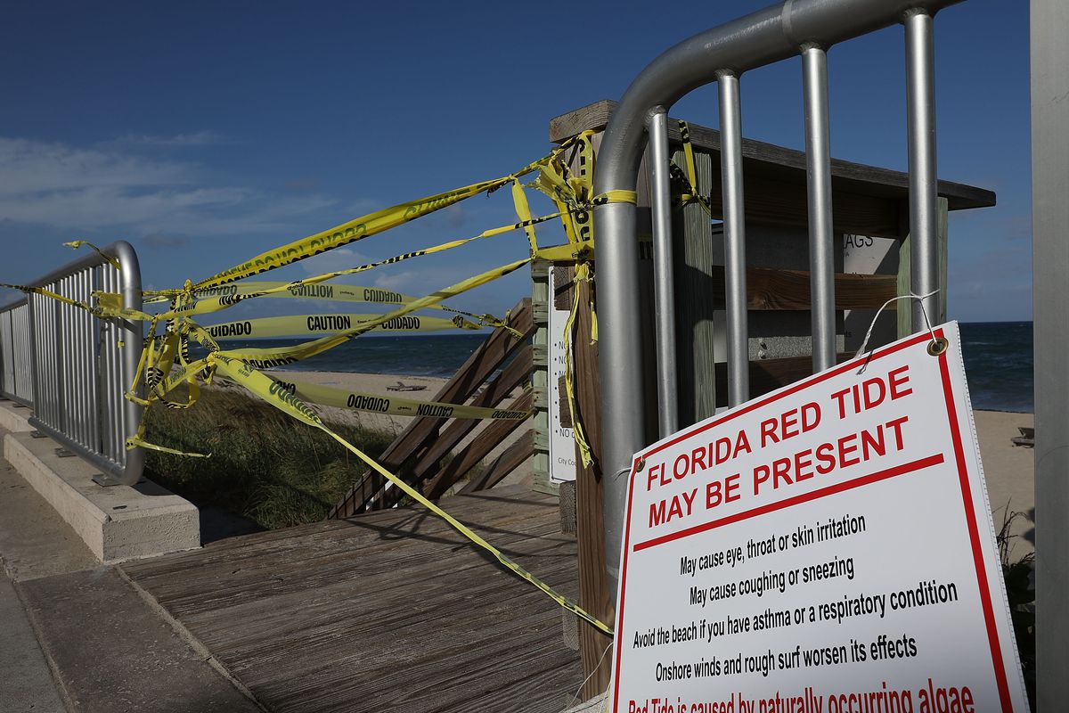 Yellow caution tape is strung across the wooden boardwalk entrance to a beach in Lake Worth, Florida.