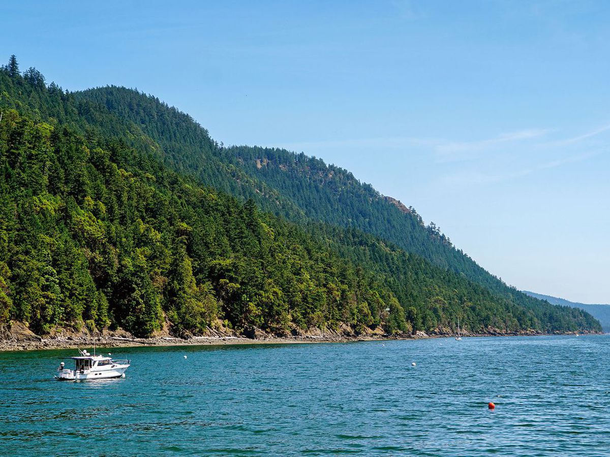 A view of a boat traveling near the picturesque greenery of Orcas Island