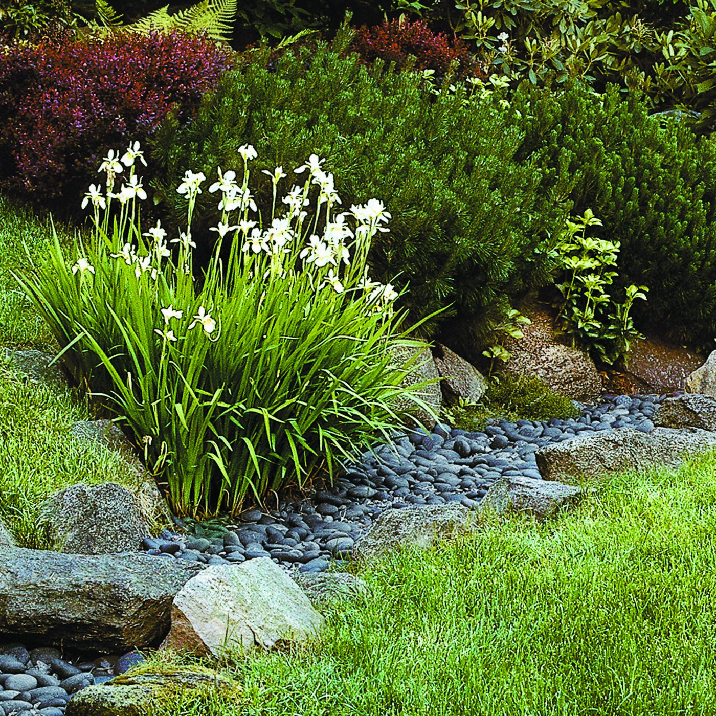 How To Use Landscaping To Deal With Storm Water This Old House