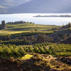 Lake Chelan AVA [Source: Washington State Wine Commission]
