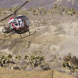 In this June 28, 2002, file photo, a helicopter used by the Bureau of Land Management rounds up wild horses near Cold Creek, Nev. 