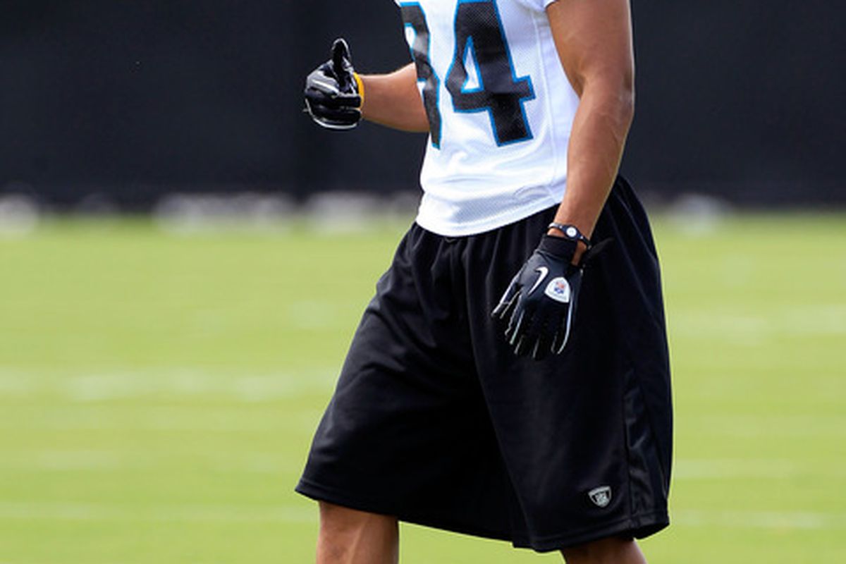 JACKSONVILLE, FL - JULY 28:  Cecil Shorts III takes part in training camp at Florida Blue Health and Wellness practice fields on July 28, 2011 in Jacksonville, Florida.  (Photo by Sam Greenwood/Getty Images)
