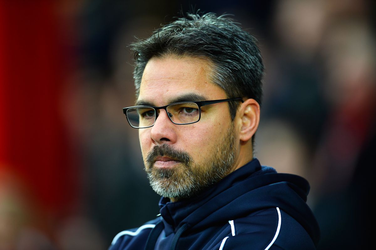 Huddersfield Town Manager David Wagner