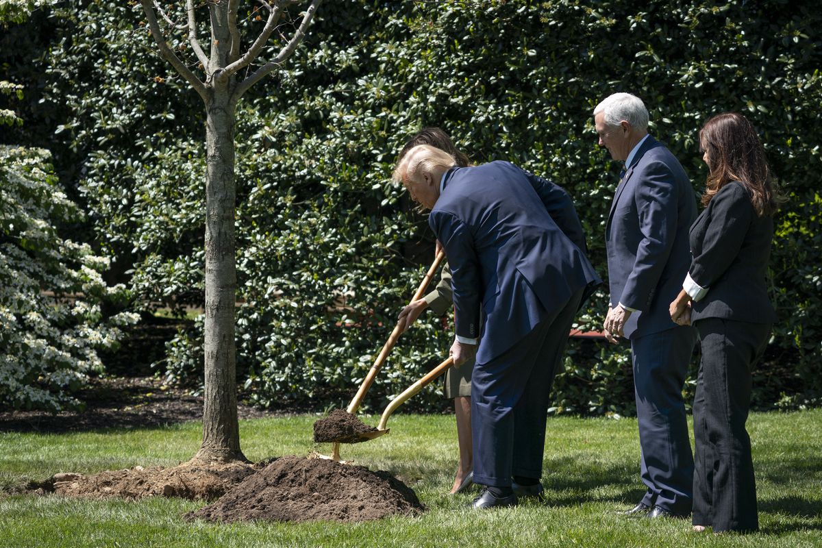 President Trump And First Lady Melania Plant Tree For Earth Day And Arbor Day On South Lawn Of White House