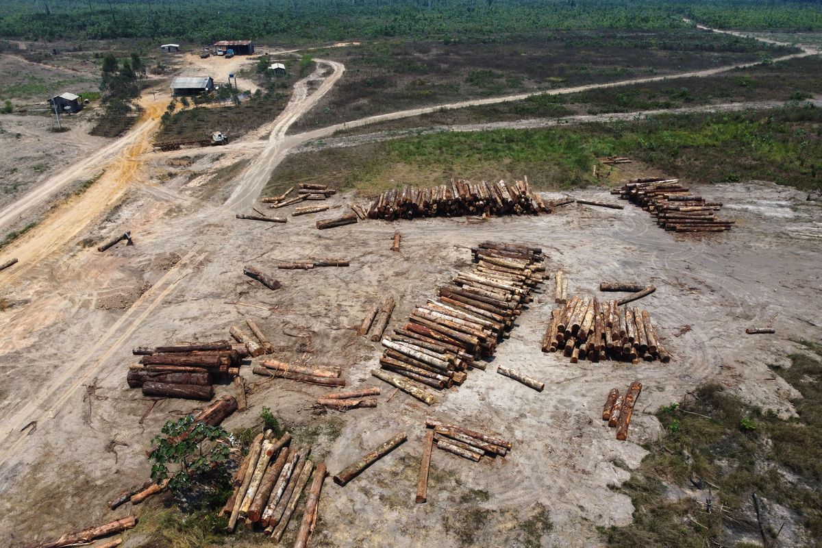 BRAZIL-ENVIRONMENT-AMAZON-DEFORESTATION