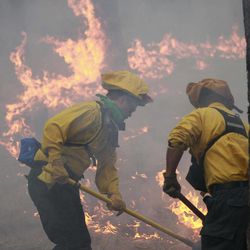 Black Forest Fire Dept. officers burn off natural ground fuel in an evacuated neighborhood, prepping the area for the encroachment of the wildfire in the Black Forest area north of Colorado Springs, Colo., on Wednesday, June 12, 2013. The number of houses destroyed by the Black Forest fire could grow to around 100, and authorities fear it's possible that some people who stayed behind might have died. 