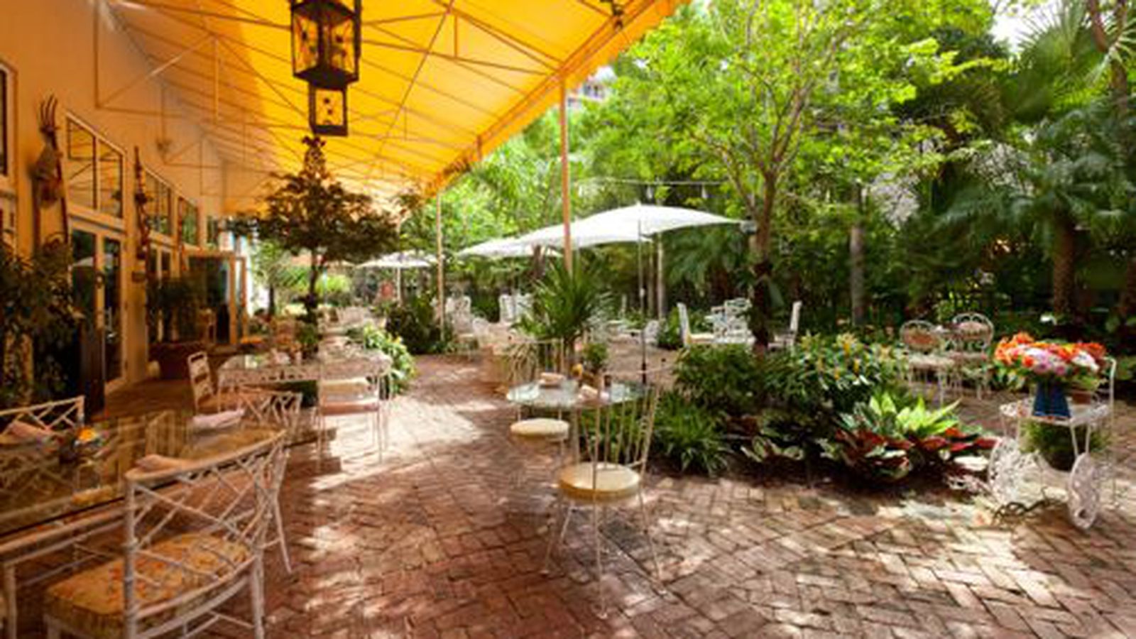 COCONUT GROVE - To welcome the fall, Peacock Garden Café is launching Live ...