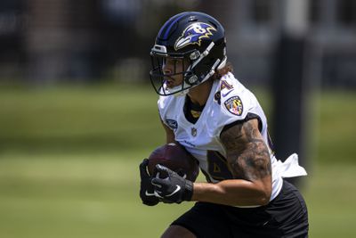 NFL: Baltimore Ravens OTA