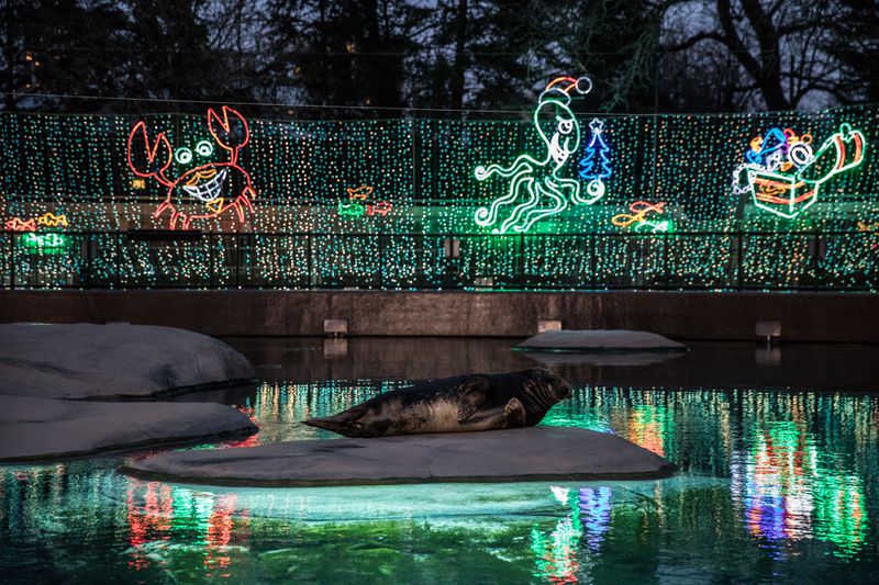 ZooLights has returned to Lincoln Park Zoo for the holiday season.