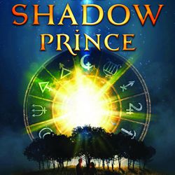 "The Shadow Prince" is the first book in the Into the Dark series by Bree Despain.