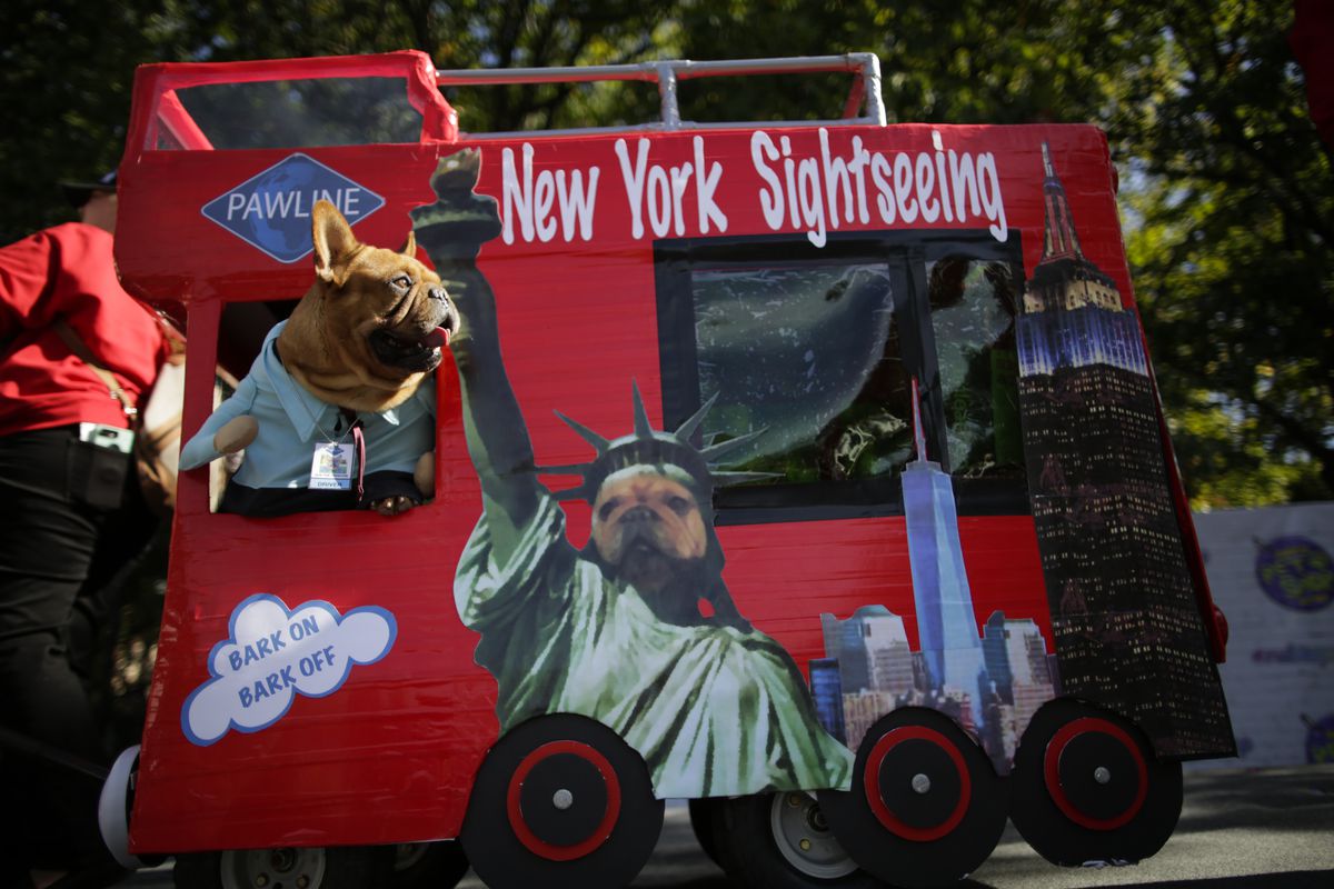 Costumed Pooches Prance In Annual Halloween Dog Parade In New York City