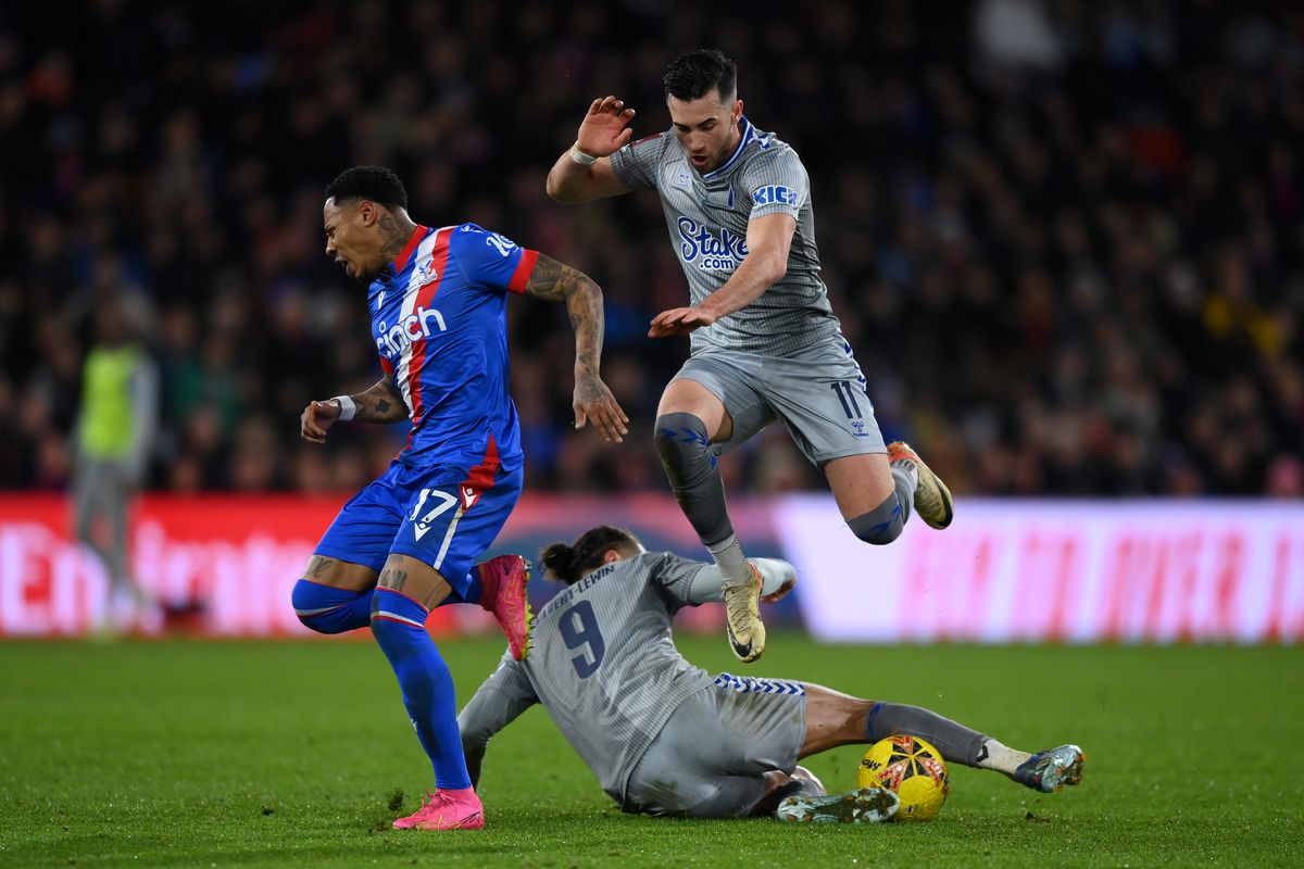 Crystal Palace v Everton - Emirates FA Cup Third Round