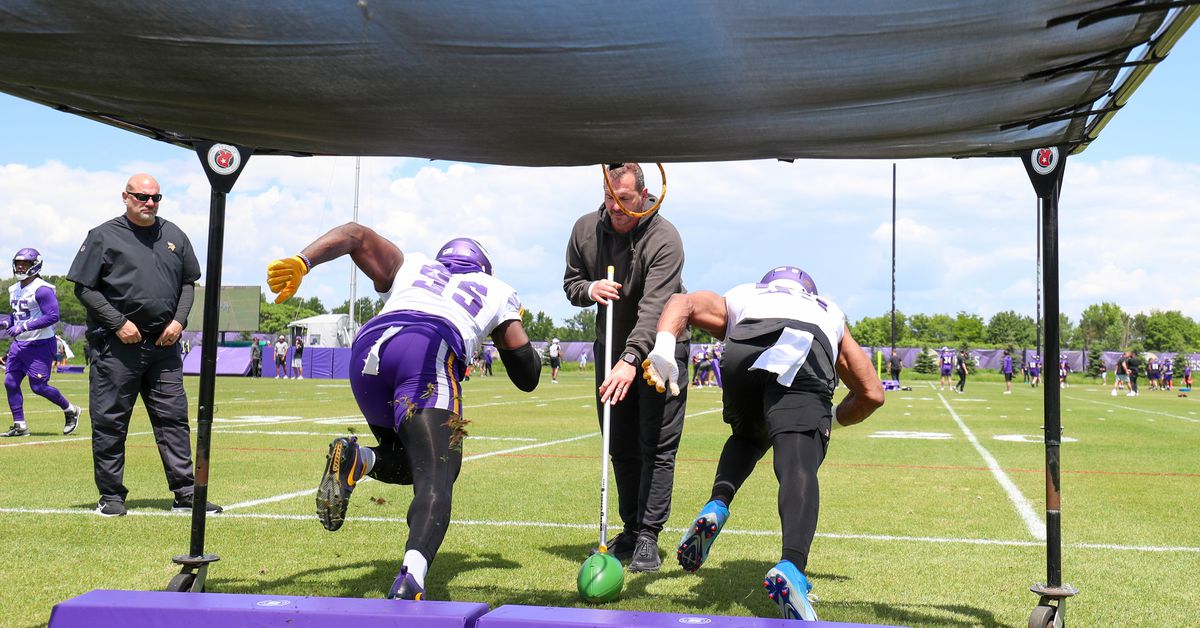 Vikings release more details about this year’s Training Camp