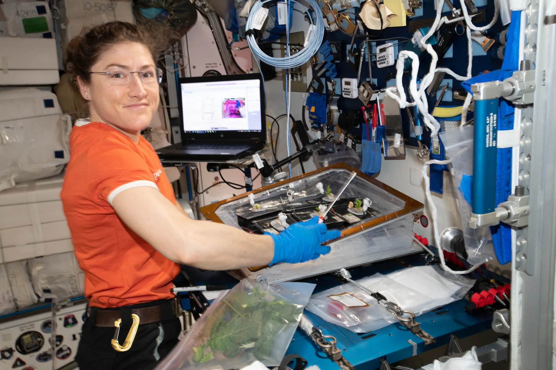 Astronaut Christina Koch aims for record-setting 328 days in space