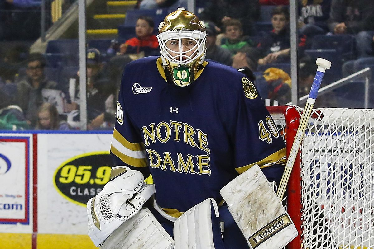 Notre Dame freshman goaltender Cal Petersen made 10 saves in the third period and overtime.