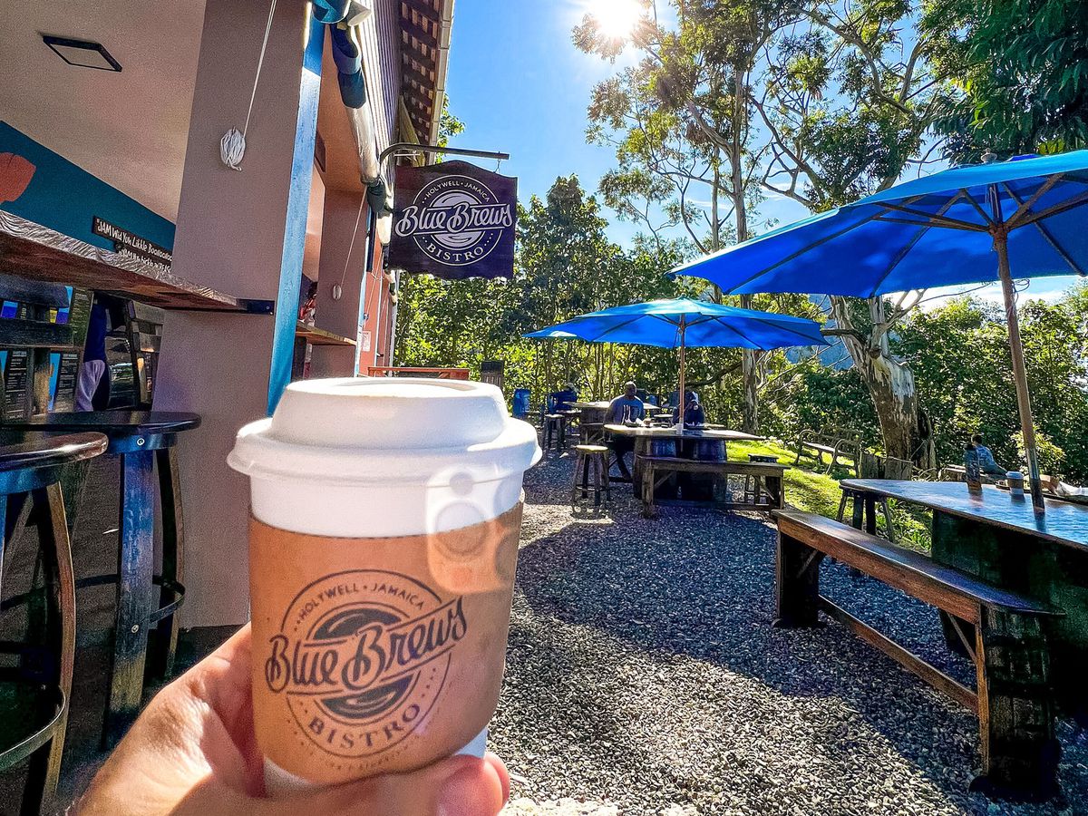 A hand holds up a to-go cup of coffee in front of the sign for Blue Brews, on a sunny day surrounded by lush trees. 