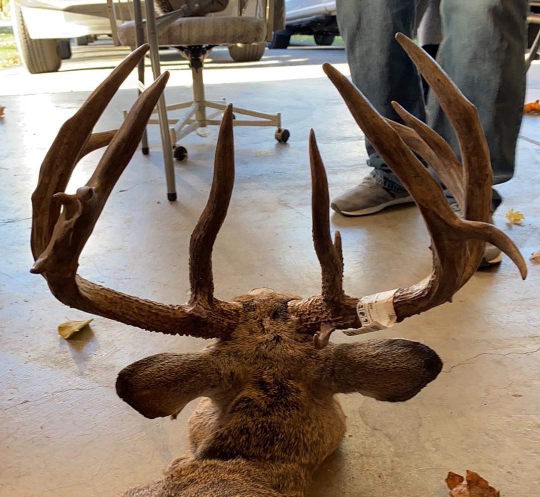 Luke Fatland’s big buck viewed from another side. Provided photo