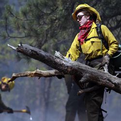 Samantha Marison, an AmeriCorps volunteer firefighter assigned to the El Paso County Sheriff's Office removes down wood fuel to help contain a spot fire in an evacuated area of forest, ranches and residences, in the Black Forest wildfire area, north of Colorado Springs, Colo., on Thursday, June 13, 2013.  The blaze in the Black Forest is now the most destructive in Colorado history, surpassing last year's Waldo Canyon fire, which burned 347 homes, killed two people and led to $353 million in insurance claims. (AP Photo/Brennan Linsley)